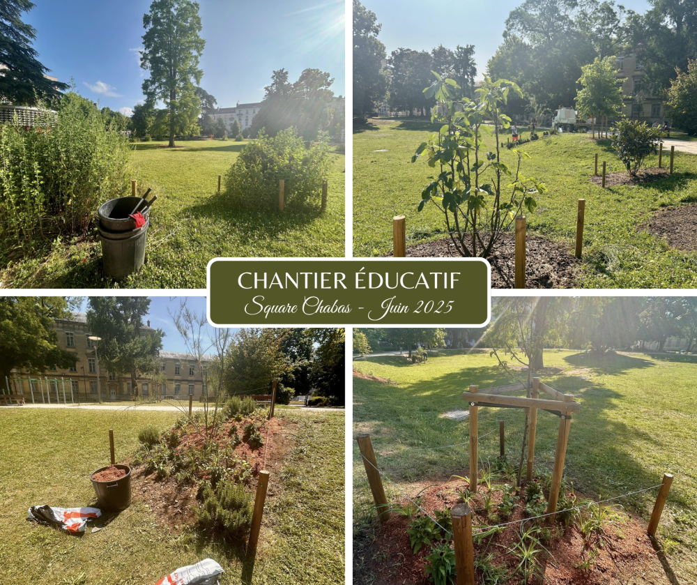 Chantier éducatif 